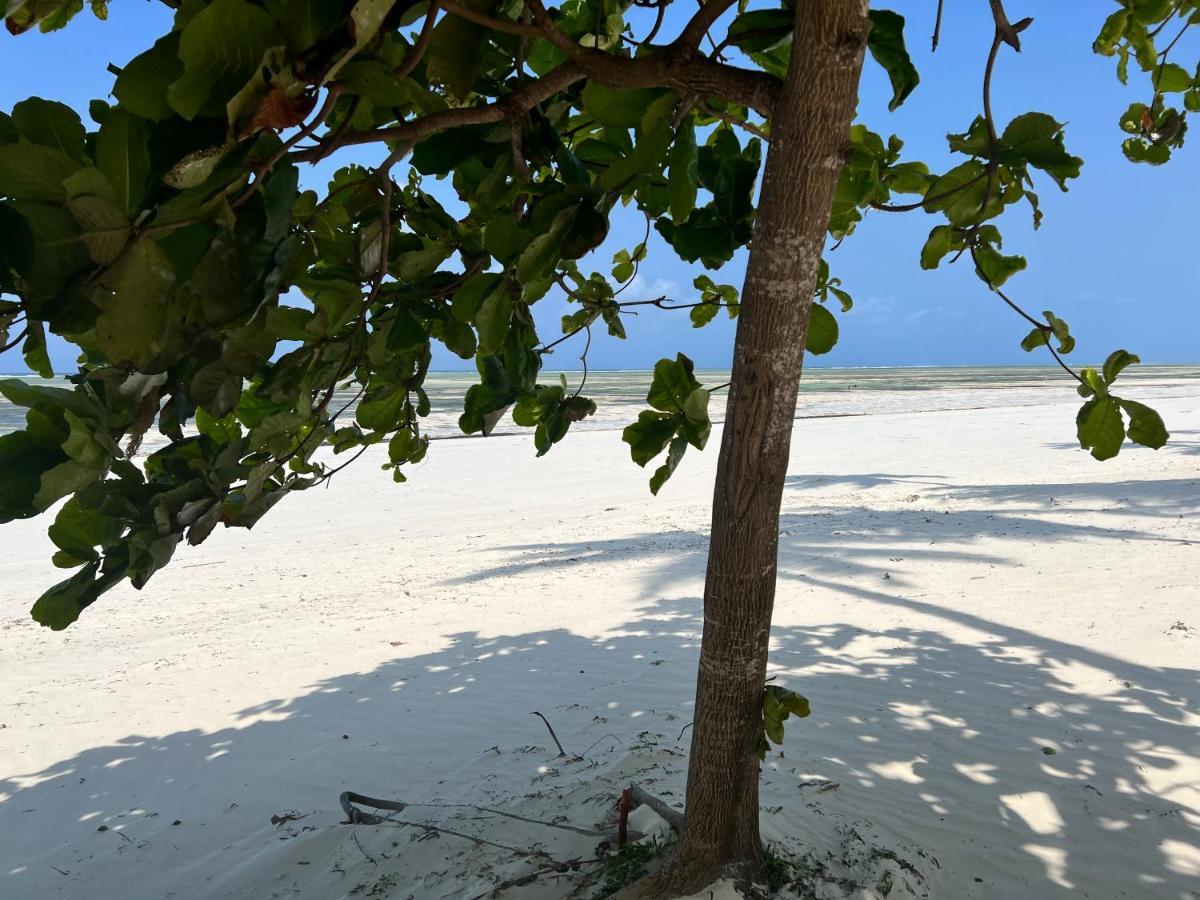 ホテル Five Palms ブウェワウ エクステリア 写真